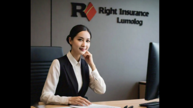 Right Insurance Lumolog